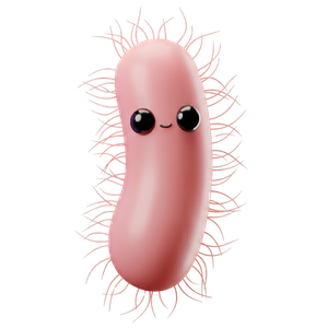 Clostridium difficile character