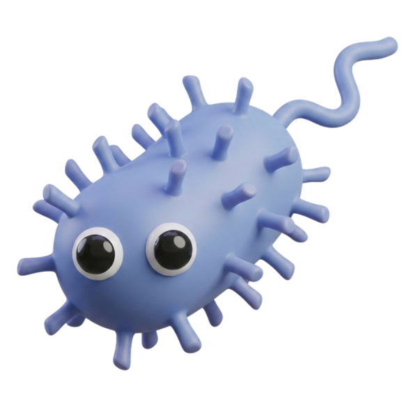 Rod bacterium character